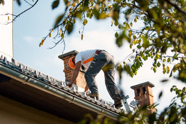 Best Tile Roofing Installation  in Forestville, CA