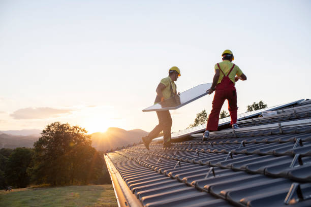 Best Skylight Installation and Repair  in Forestville, CA