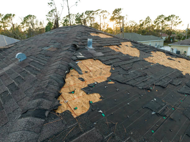 Best Gutter Installation and Repair  in Forestville, CA