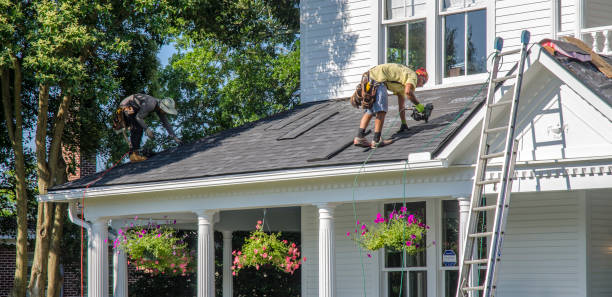 Siding in Forestville, CA